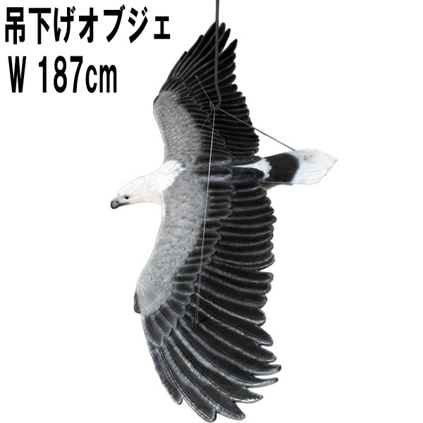 シロハラウミワシ / White Breasted Sea-Eagle - Flying　FRPアートオブジェ 【商品番号：m-fr090018】