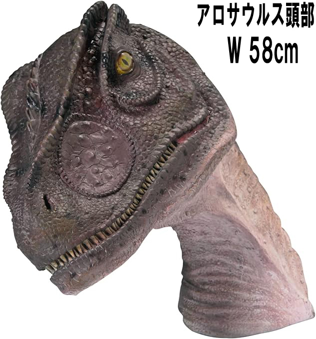 アロサウルスの頭部 Allosaurus Head FRP恐竜オブジェ【商品番号：m-fr100014】