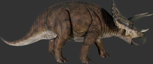 トリケラトプス 恐竜 オブジェ