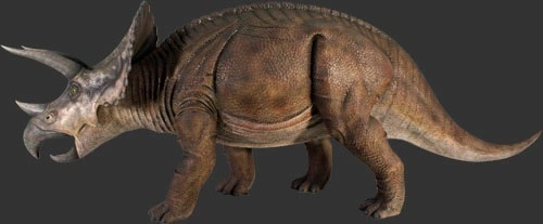 トリケラトプス 恐竜 オブジェ