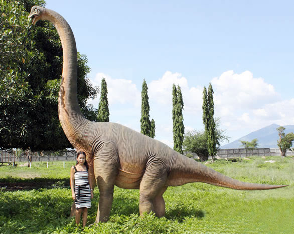 ブラキオサウルス 恐竜 オブジェ