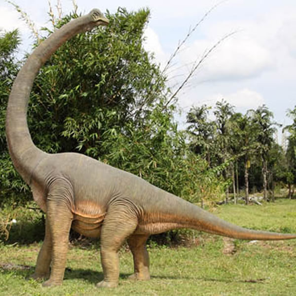 ブラキオサウルス 恐竜 オブジェ