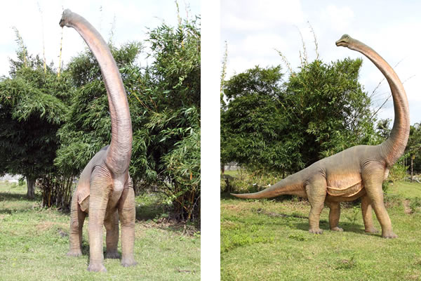 ブラキオサウルス 恐竜 オブジェ