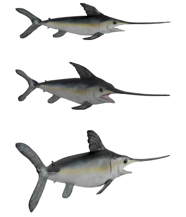 カジキ 壁掛け オブジェ