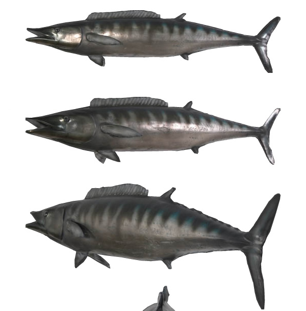 カマスサワラ オブジェ
