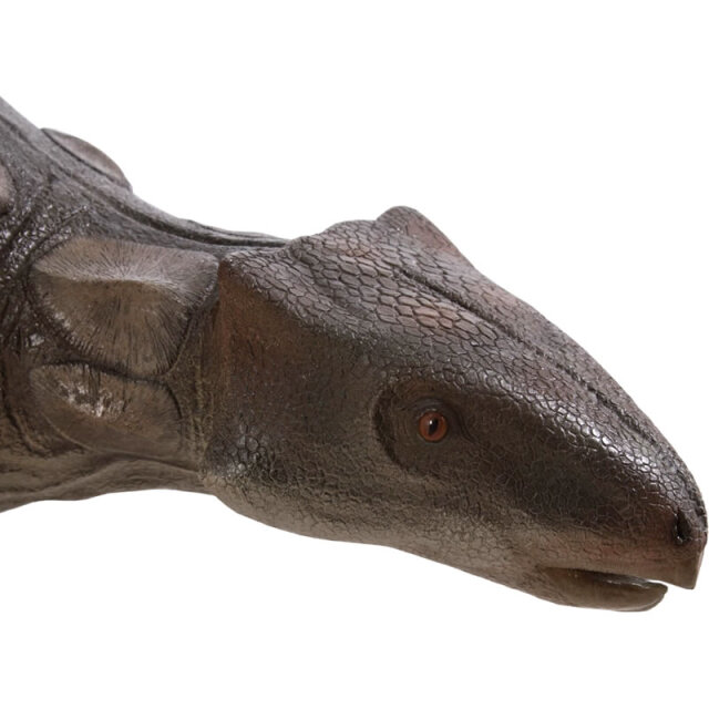 アンキロサウルス 恐竜 オブジェ