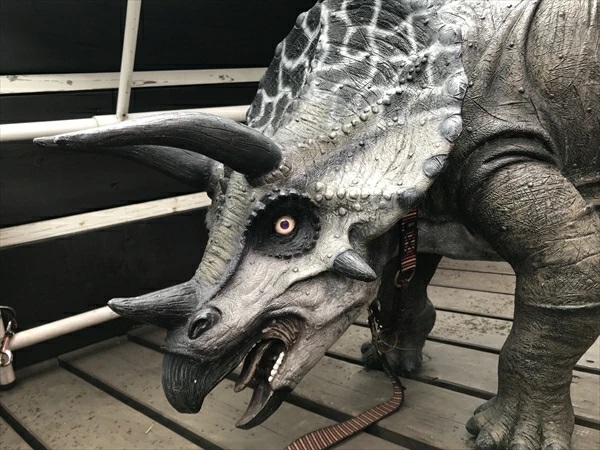 トリケラトプス 恐竜 オブジェ