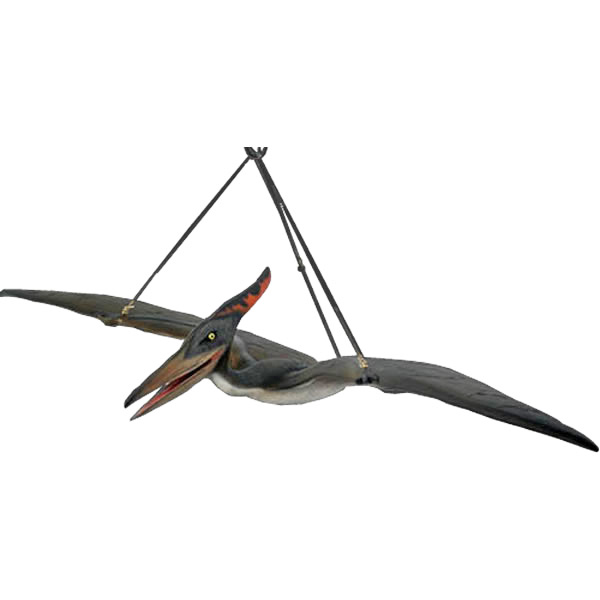 プテラノドン 恐竜 オブジェ