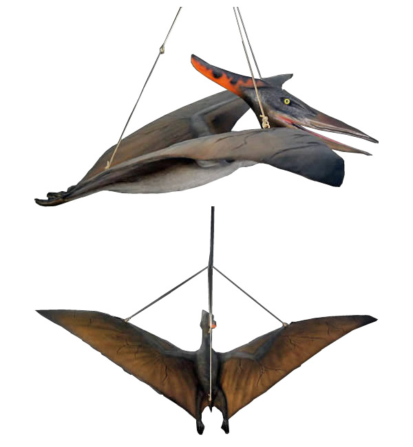 プテラノドン 恐竜 オブジェ