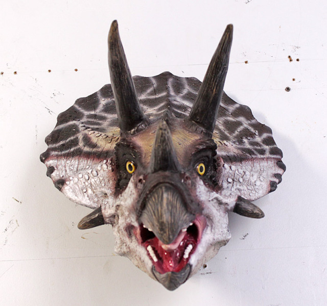 小型版トリケラトプスの頭 Definitive Triceratops Head FRP恐竜