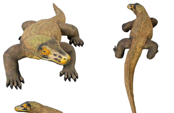 コモドドラゴン 動物 恐竜 爬虫類 オブジェ
