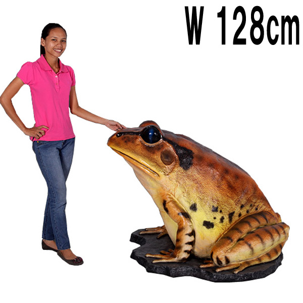 巨大な縞足ガエル / Great Barred Frog  FRPアートオブジェ 【商品番号：m-fr130060】