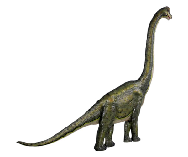 ブラキオサウルス 恐竜 オブジェ
