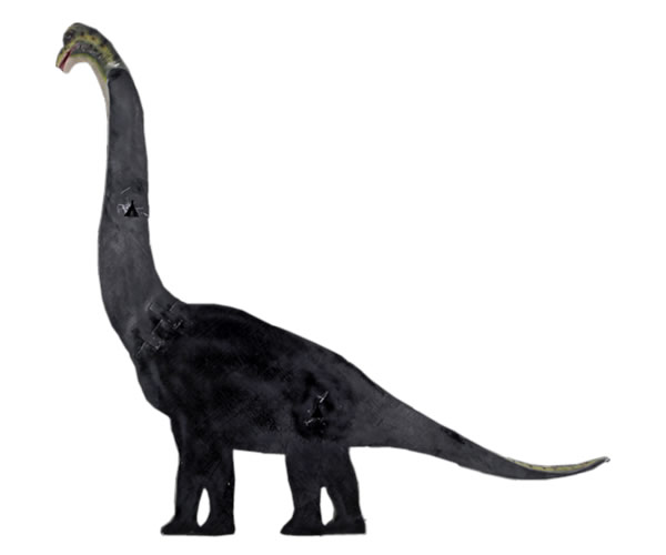 ブラキオサウルス 恐竜 オブジェ