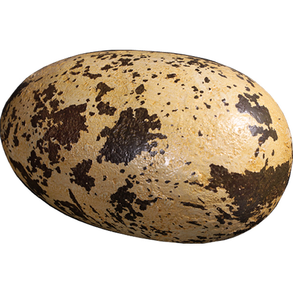 恐竜 化石 卵 タマゴ オブジェ