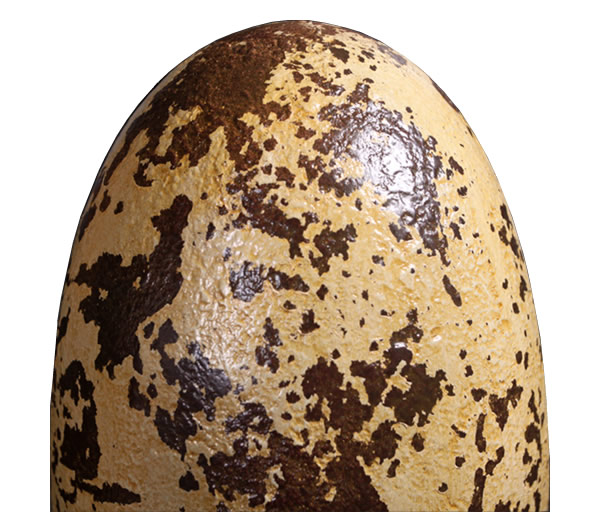 恐竜 化石 卵 タマゴ オブジェ