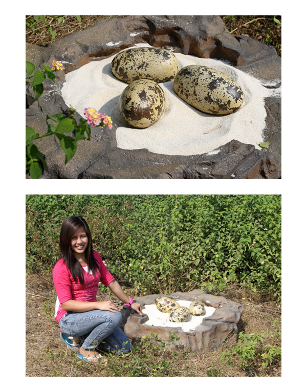 恐竜 化石 卵 タマゴ オブジェ