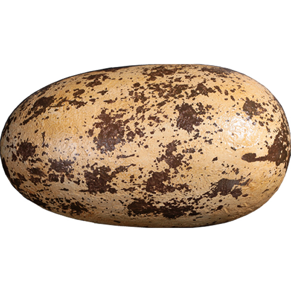 恐竜 化石 卵 タマゴ オブジェ