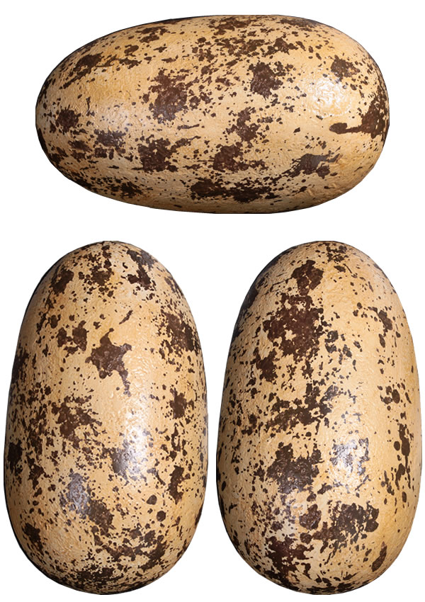 恐竜 化石 卵 タマゴ オブジェ