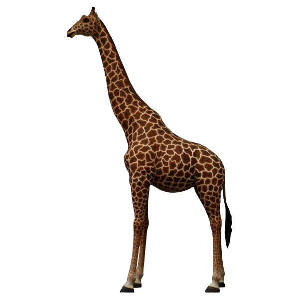キリン オブジェ