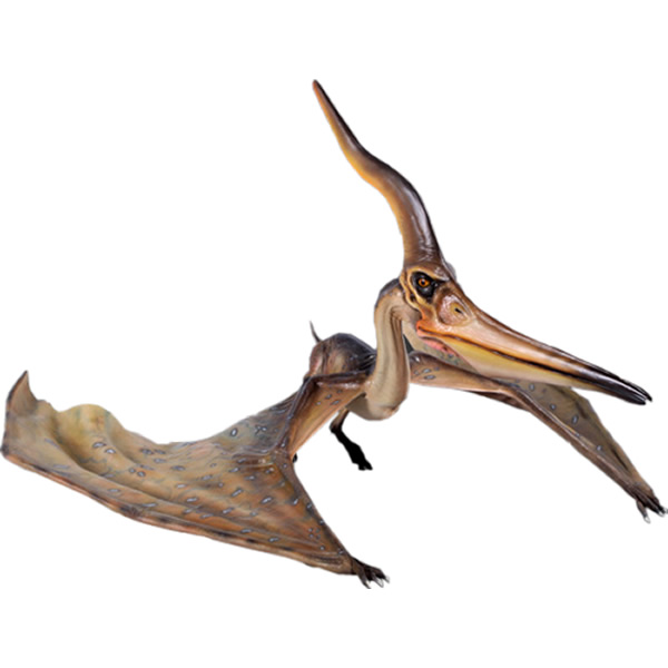 プテラノドン 恐竜 オブジェ