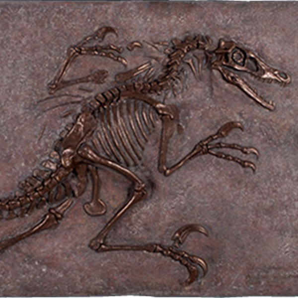 ヴェロキラプトル 恐竜 化石 壁面 オブジェ パネル