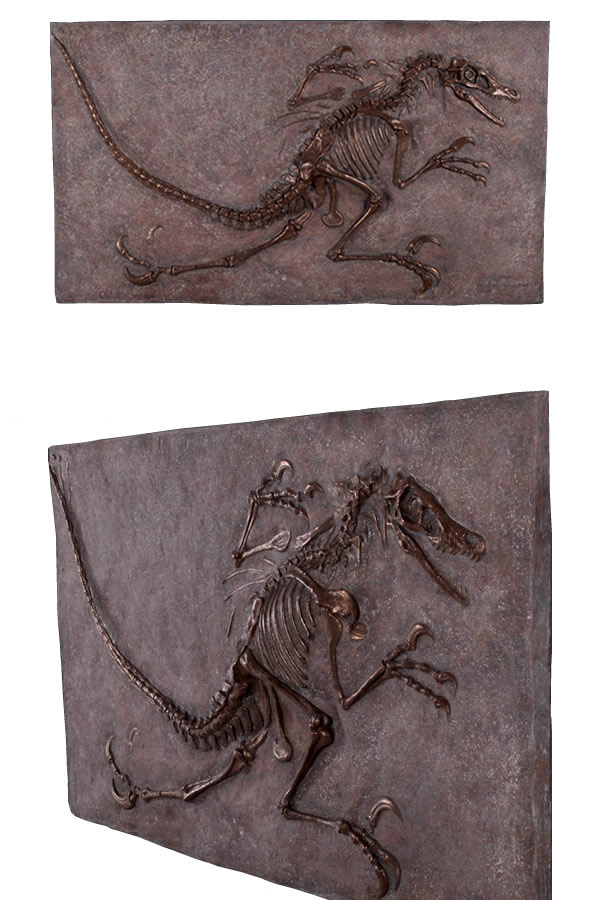 ヴェロキラプトル 恐竜 化石 壁面 オブジェ パネル