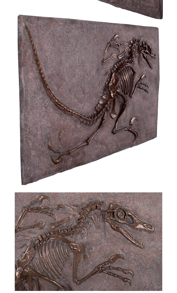 ヴェロキラプトル 恐竜 化石 壁面 オブジェ パネル