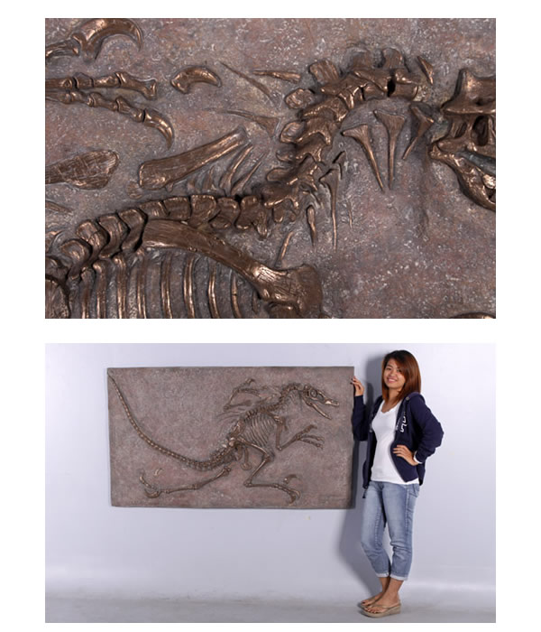 ヴェロキラプトル 恐竜 化石 壁面 オブジェ パネル