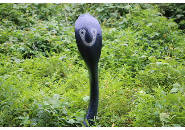 コブラ オブジェ