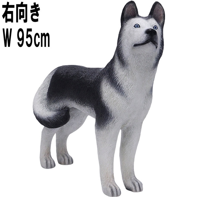 ハスキー犬 右向き / Husky - Looking Right  FRPアートオブジェ 【商品番号：m-fr180171R】
