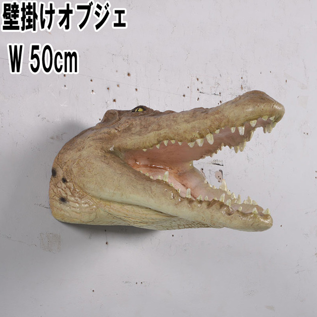 クロコダイルの頭部壁掛け / Crocodile Head - Mouth Open Wall Decor FRPアートオブジェ 【商品番号：m-fr190049】