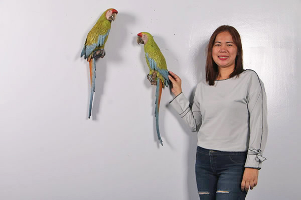 コンゴウインコ オブジェ