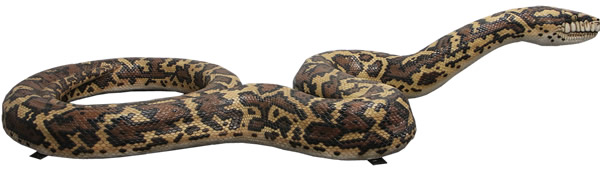 にしきへび オブジェ ニシキヘビ