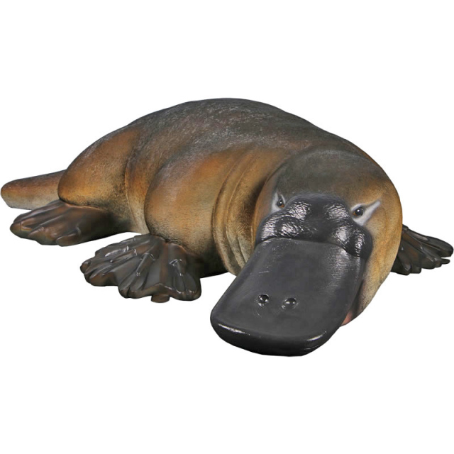 硬玉カモノハシ 硬玉カモノハシ 大きなカモノハシ Platypus FRPアートオブジェ【商品