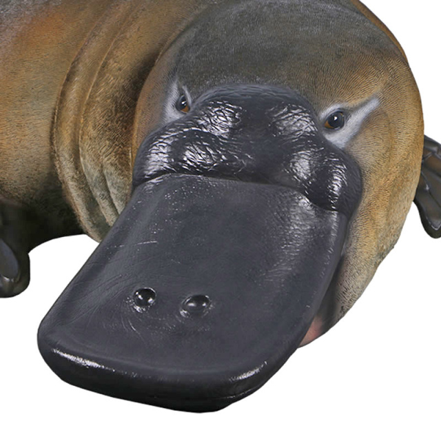 カモノハシ オブジェ