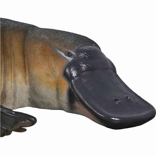 カモノハシ オブジェ