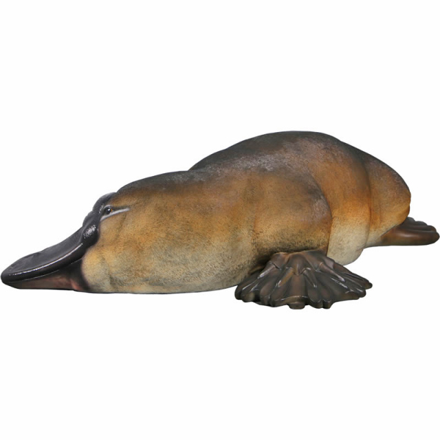 カモノハシ オブジェ