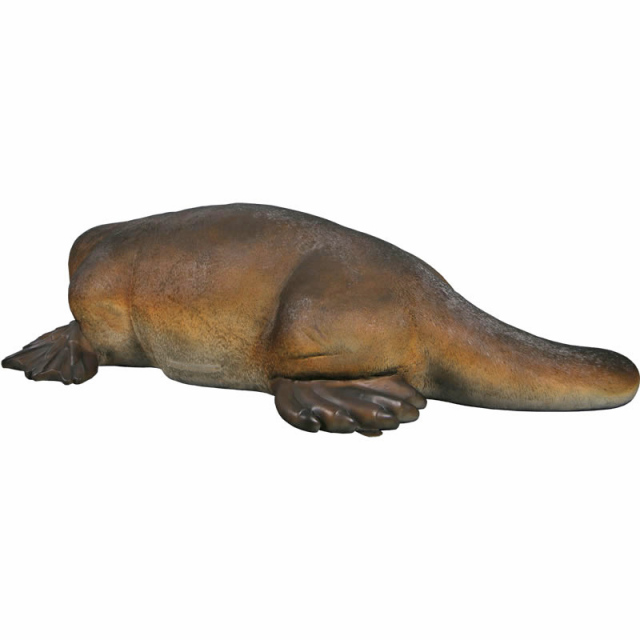 大きなカモノハシ Platypus FRPアートオブジェ【商品番号：m-fr200017】