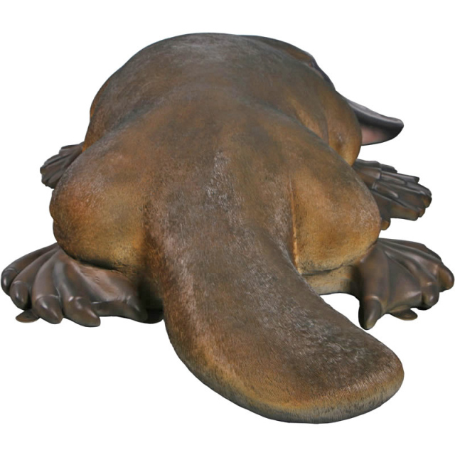 大きなカモノハシ Platypus FRPアートオブジェ【商品番号：m-fr200017】