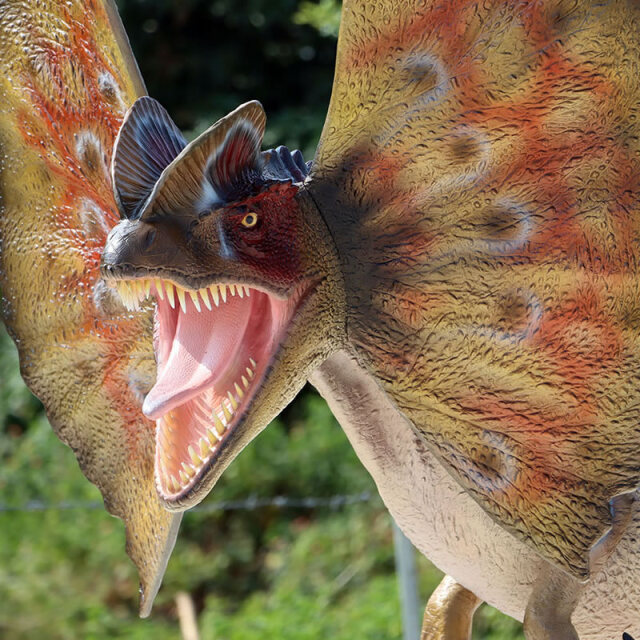 ディロフォサウルス 恐竜 オブジェ