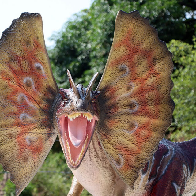 ディロフォサウルス 恐竜 オブジェ