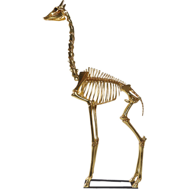 レア！ キリン ★ 大腿骨（femur leg bone） キリンの骨格ゴールド Giraffe Skeleton 8ft. FRPアートオブジェ【商品