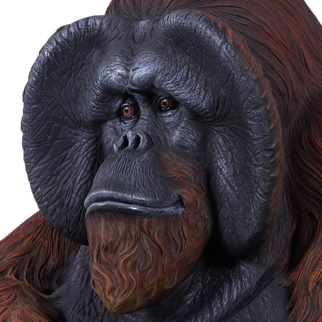 座るオラウータン Sitting Orangutan FRPアートオブジェ【商品番号：m