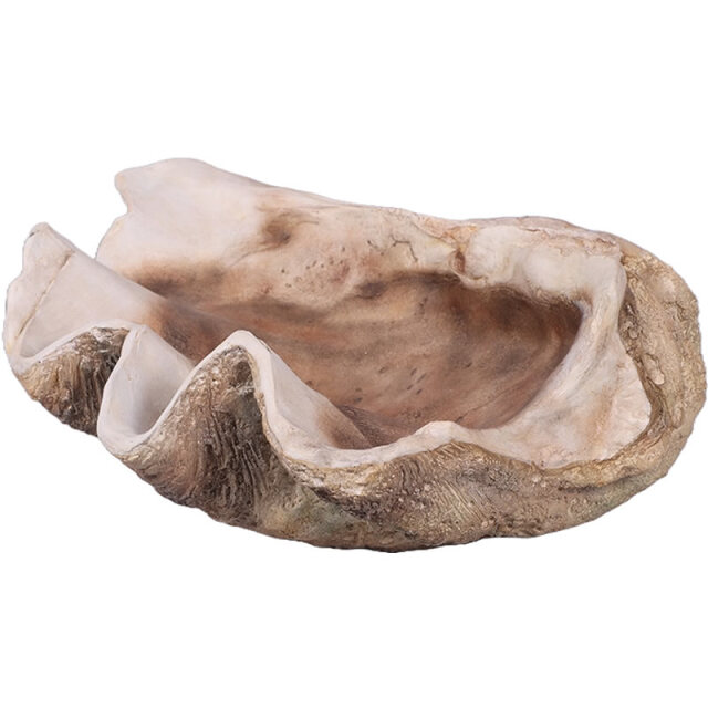 シャコ貝 Giant Clam Shell FRPアートオブジェ【商品番号：m-fr230049】