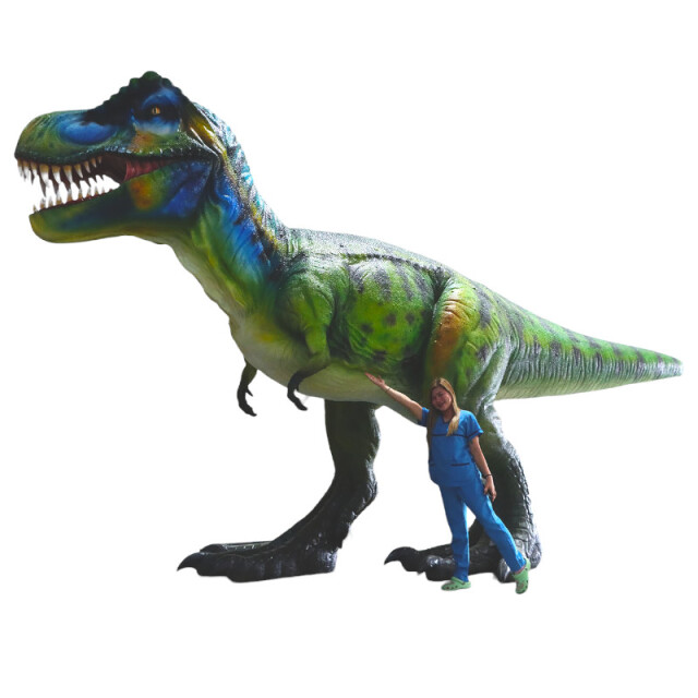 ティラノサウルス 恐竜 オブジェ