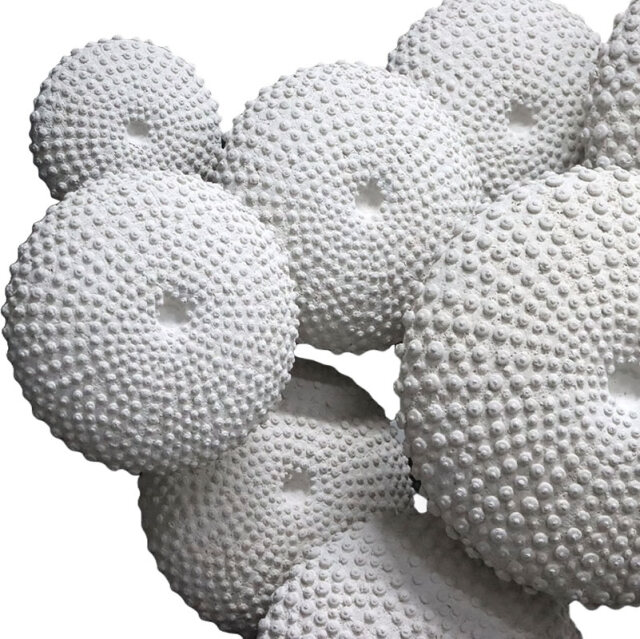 ウニの抜け殻壁掛けアート Sea Urchin Wall Decor FRPアートオブジェ