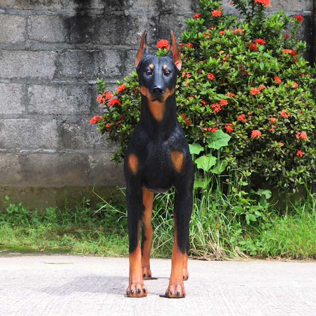 犬　ドーベルマン　リアル　ジョックライン 高さ約88cm イタリア製 ドーベルマン 置物 等身大 オブジェ FRP製 リアルな犬の像 ガーデン