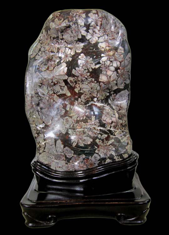 菊花石（きっかせき）の販売ページです。