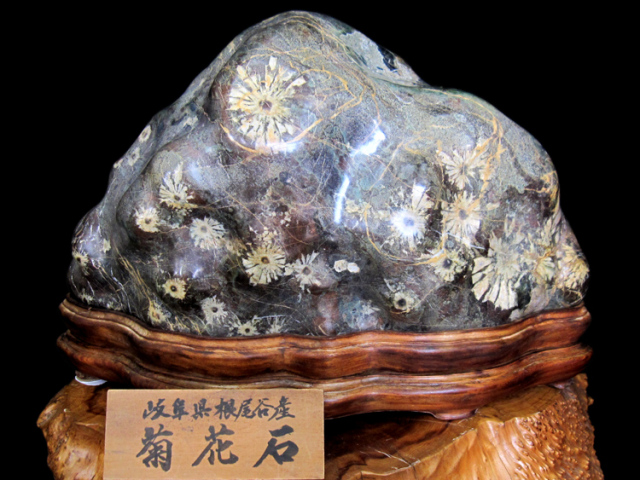 根尾谷の特別天然記念物の菊花石を販売しています。